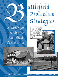 Battlefield Protection Strategies