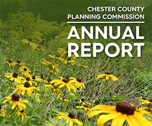 2025 annual report cover