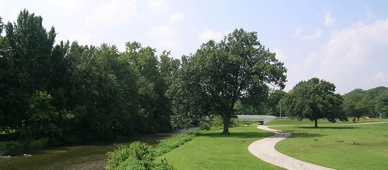 Environment Top