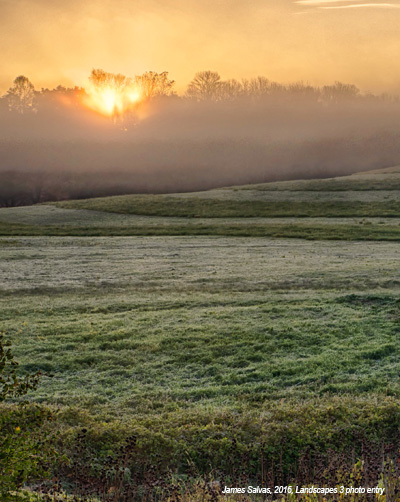 field during sunrise with mist