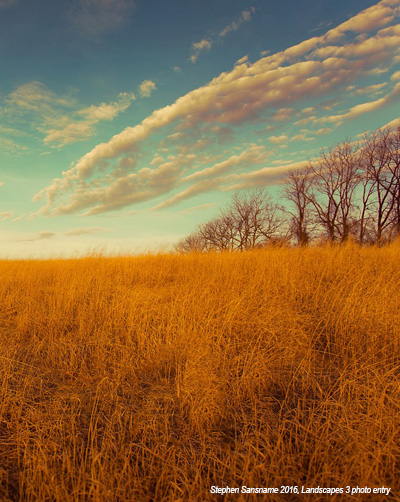 field with orange tint
