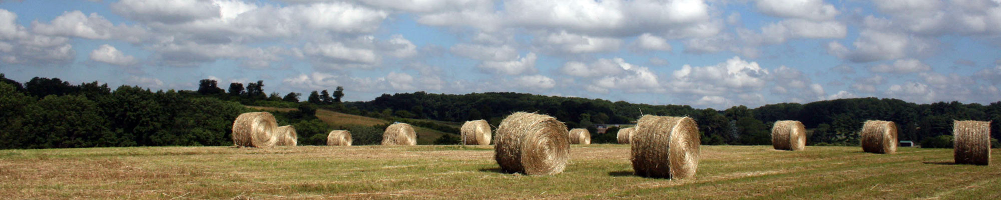 open field with hay